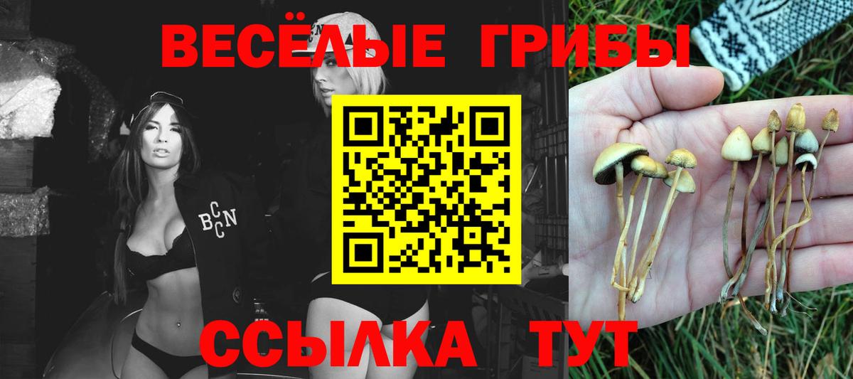 Псилоцибиновые грибы Psilocybine cubensis  Вход с VPN  Улан-Удэ  Псилоцибиновые грибы прущие грибы 